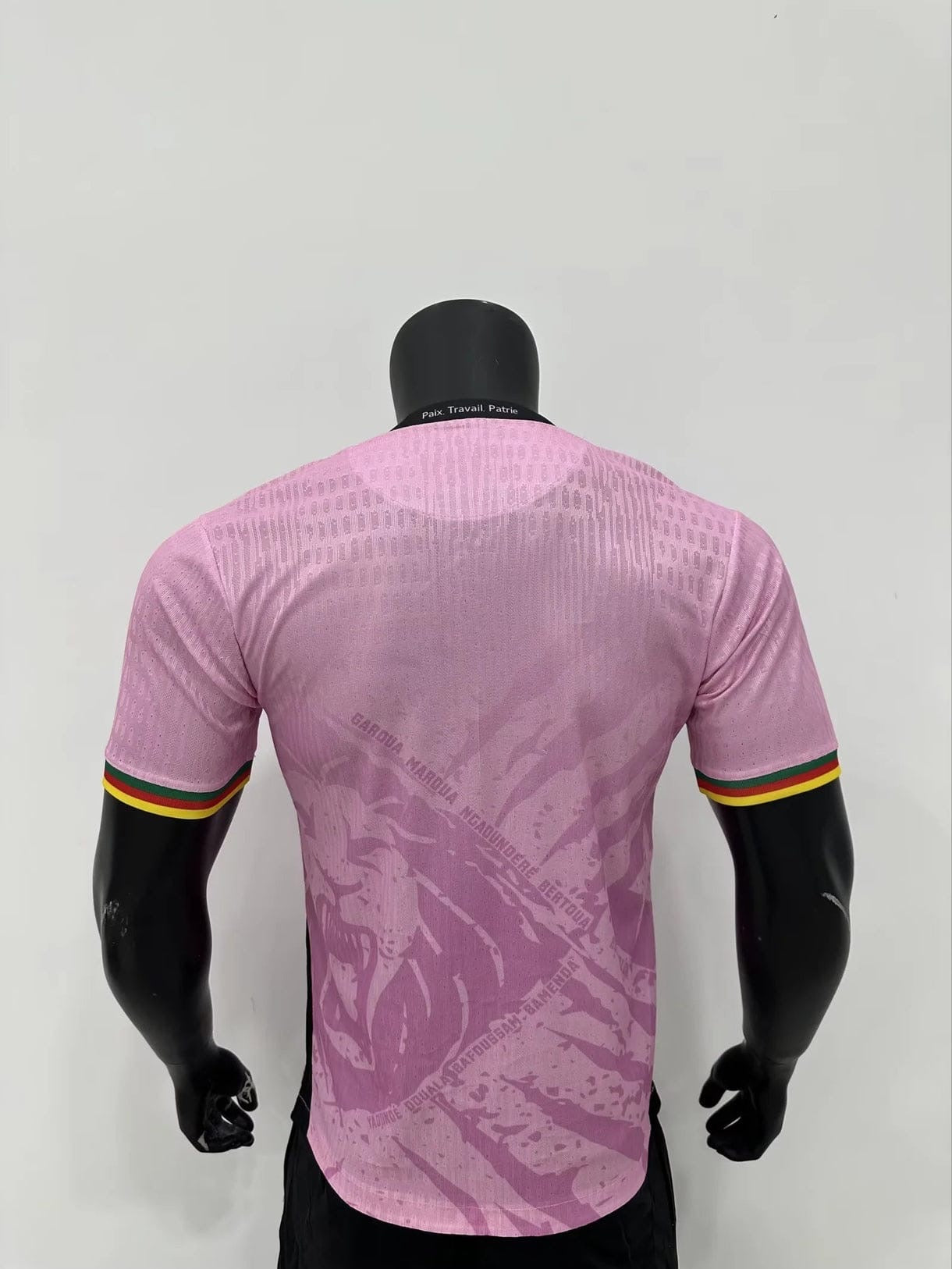 Maillot Cameroun 2025 2026  Rose