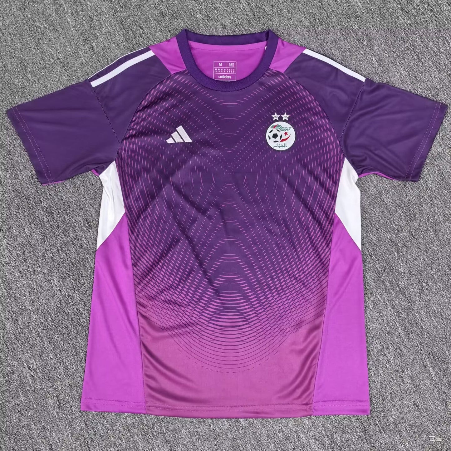 Maillot Gardien de but Algérie violet