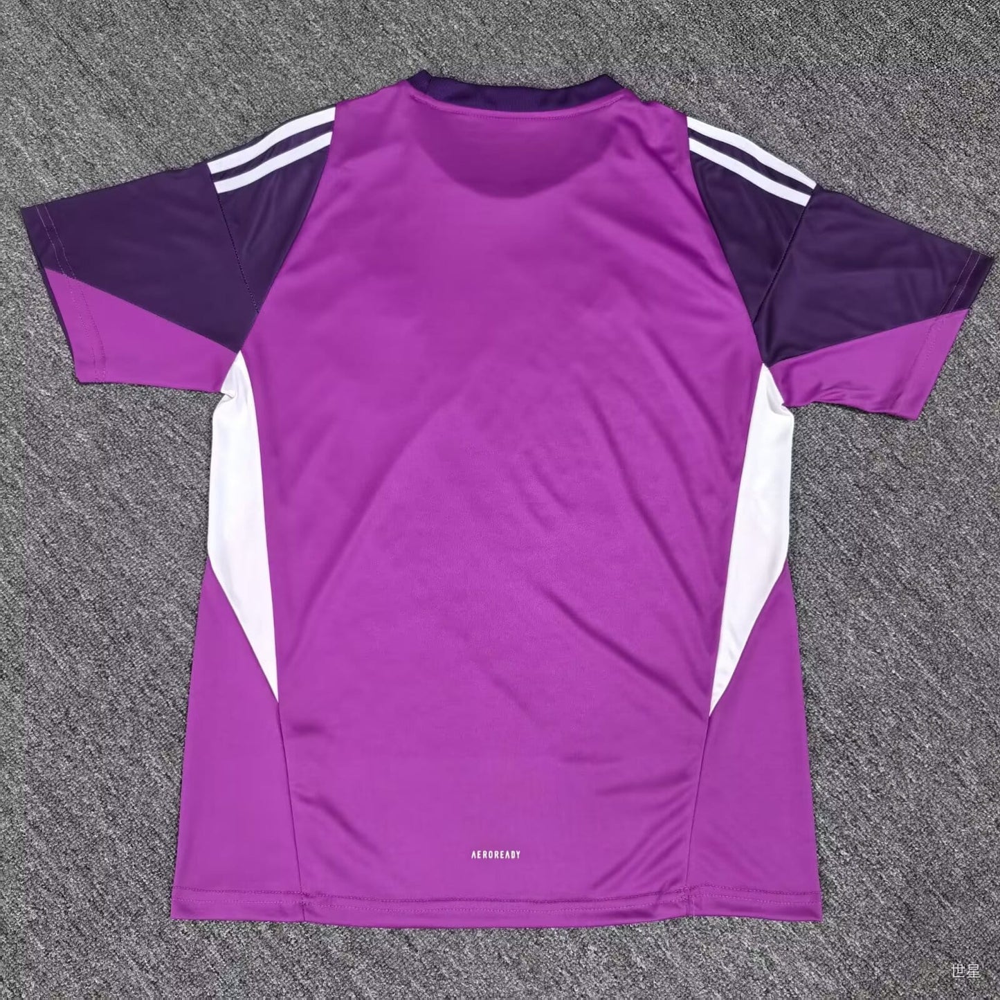 Maillot Gardien de but Algérie violet