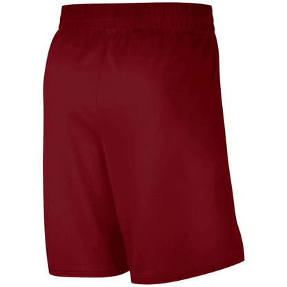 Short Cleveland Cavaliers Icon Edition 2025/2026