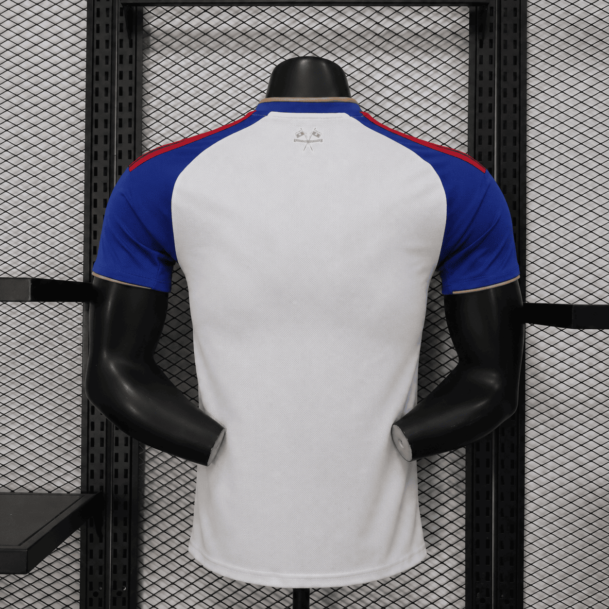 OLYMPIQUE LYONNAIS DOMICILE 26/27
